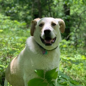 Meet your Posher, Anastasia